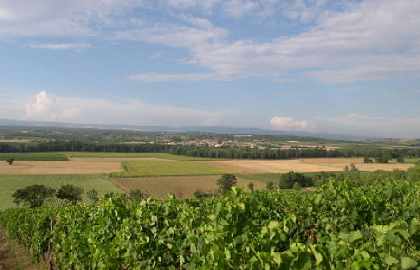 View Montagne Noire